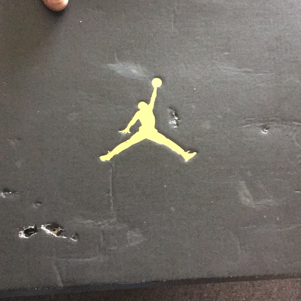 Jordan 12 retro winter
